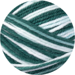 FM003